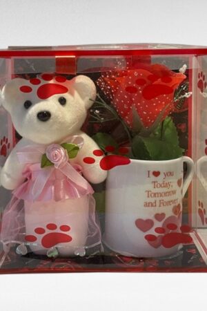 MU.013 - Kingikomplekt sõbrale! Espressotass "I love you today" ja väike mõmmik